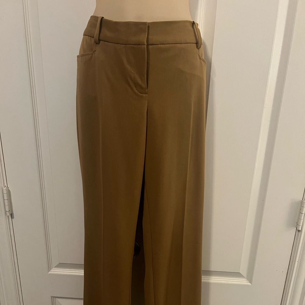 Express size 10, women’s slacks.  Brown, camel, dark tan.  Great condition